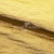 Текстильный материал "Диско"#1805 с покрытием РЕТ, 40гр/м2, 100% полиэстер, цв.5-золото - купить в Мурманске. Цена 412.36 руб.