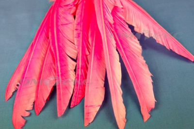 Декоративный Пучок из перьев, перо 25см/розовый - купить в Мурманске. Цена: 14.40 руб.