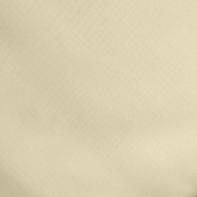 Ткань подкладочная Таффета 14-1014, антист., 53 гр/м2, шир.150см, цвет бежевый - купить в Мурманске. Цена 62.37 руб.
