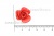 Украшение "Розы малые №1" 20мм - купить в Мурманске. Цена: 32.49 руб.