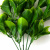 Трава искусственная -1, шт (эвкалипт лист 32 см/8 см)				 - купить в Мурманске. Цена: 169.93 руб.