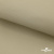 Ткань подкладочная TWILL 230T 14-1108, беж светлый 100% полиэстер,66 г/м2, шир.150 cм - купить в Мурманске. Цена 90.59 руб.