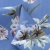 Плательная ткань "Фламенко" 12.1, 80 гр/м2, шир.150 см, принт растительный - купить в Мурманске. Цена 241.49 руб.