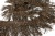 008-коричневый, Бахрома арт.001 шир.10см (упак.12+/-0,5м) - купить в Мурманске. Цена: 1 017.33 руб.