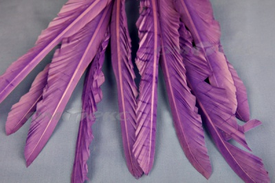 Декоративный Пучок из перьев, перо 25см/фиолетовый - купить в Мурманске. Цена: 12.19 руб.