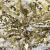 Трикотажное полотно, Сетка с пайетками, шир.130 см, #315, цв.-белый/золото - купить в Мурманске. Цена 693.39 руб.