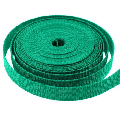 Стропа текстильная, шир. 25 мм (в нам. 50+/-1 ярд), цвет яр.зелёный - купить в Мурманске. Цена: 397.52 руб.