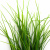 Трава искусственная -3, шт (осока 50 см/8 см  5 листов)				 - купить в Мурманске. Цена: 124.17 руб.